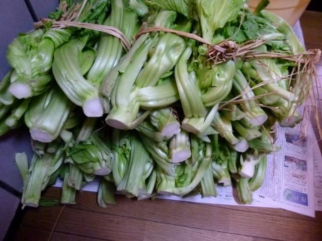 今年も山形は青菜漬けの季節です・・・思い出すなぁ～～ひいばあ（義母